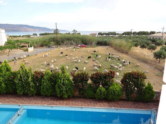 Theros Hotel