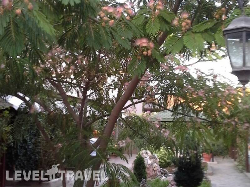 Фотография ГД Прибой Фотография ГД Прибой