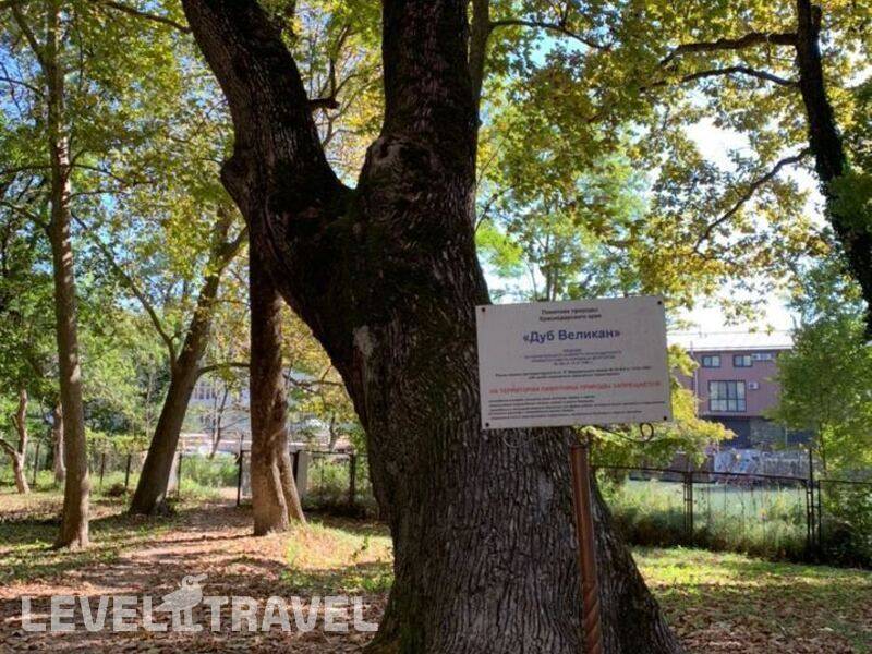 Фотография Парк-отель Джубга