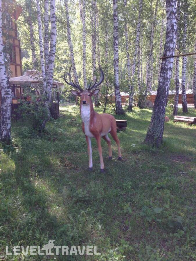 Изображение отеля 6