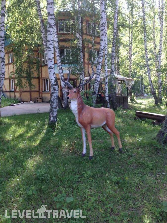 Изображение отеля 8