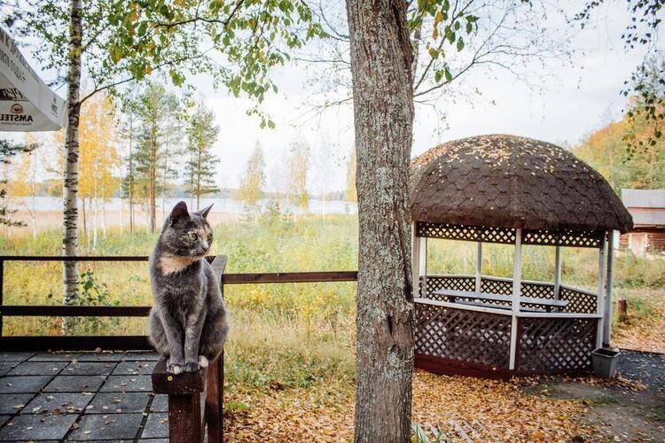 Загородный Клуб Авиаретро