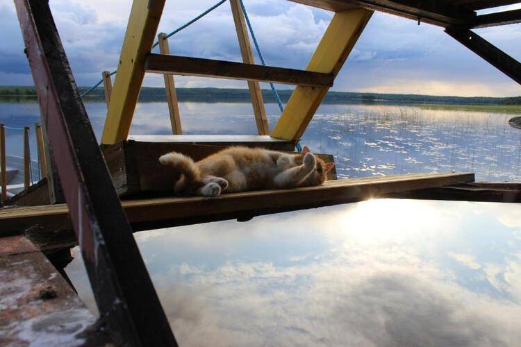 Отель Калевала