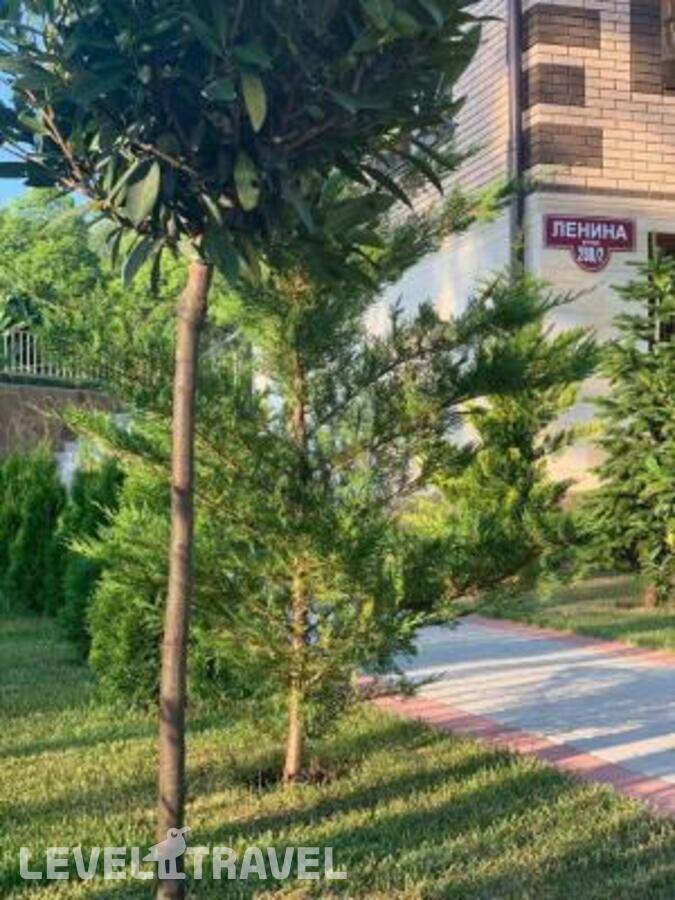 фотографии отеля Гостевой дом Солнечный город в Россия(Адлер) - фото №29