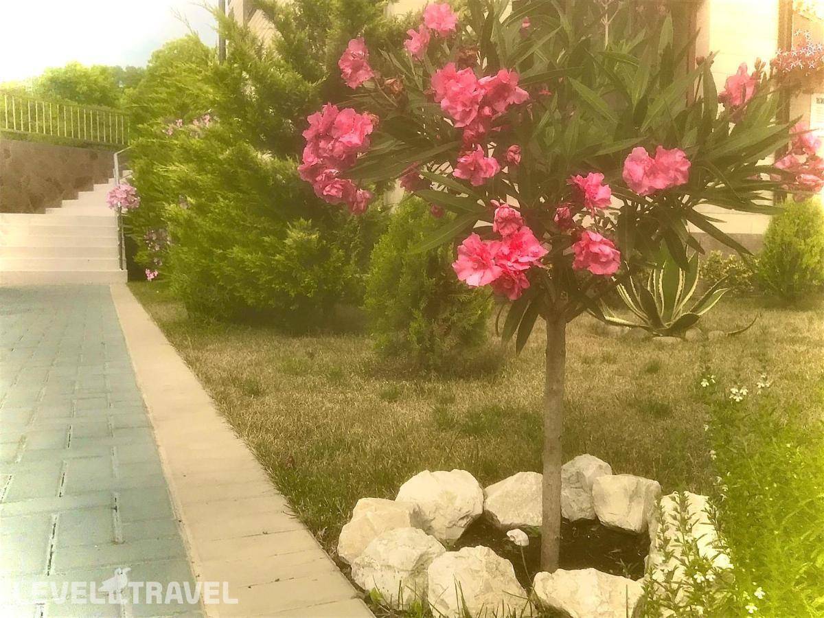 фотографии отеля Гостевой дом Солнечный город в Россия(Адлер) - фото №30