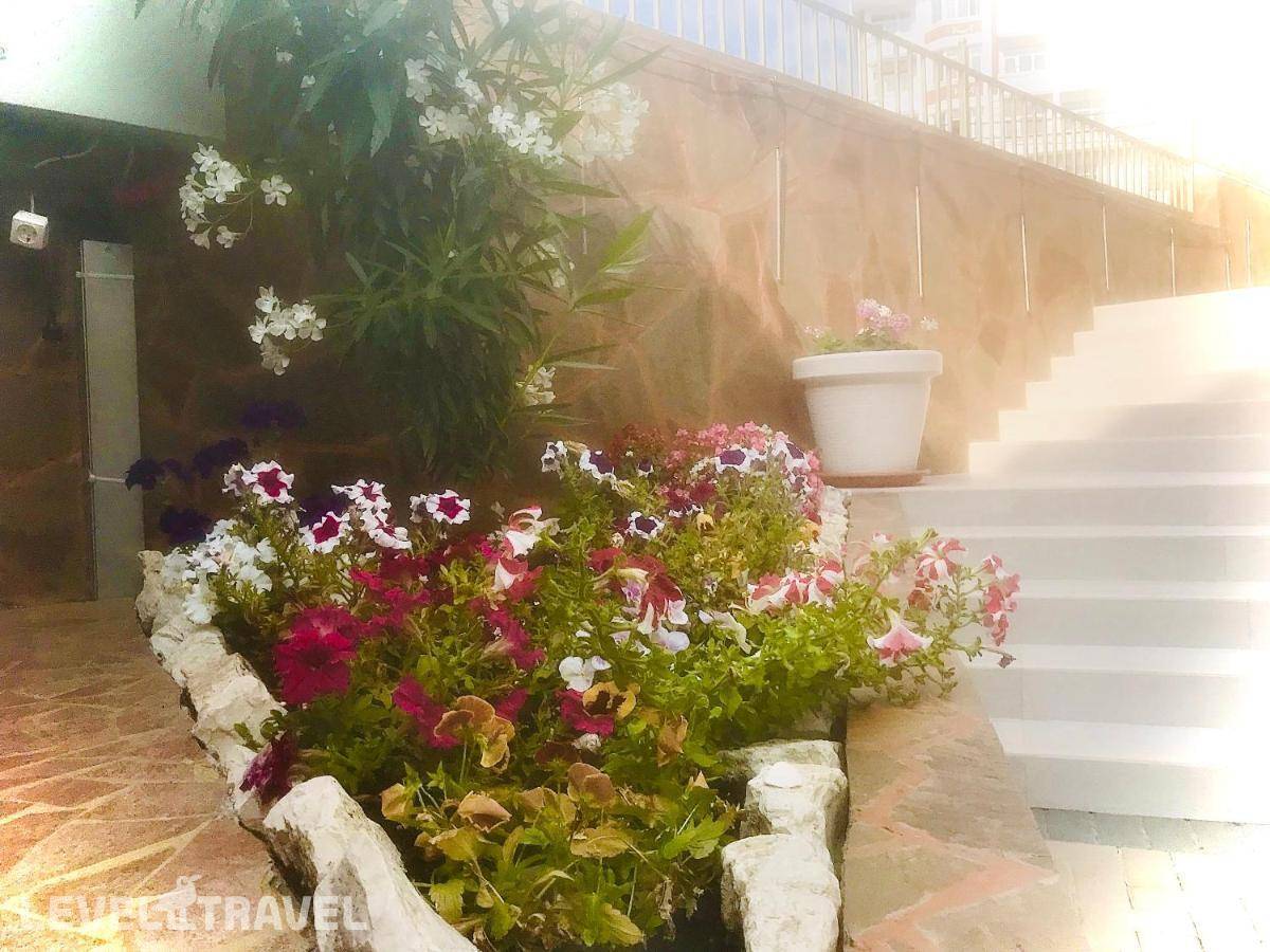 фотографии отеля Гостевой дом Солнечный город в Россия(Адлер) - фото №25