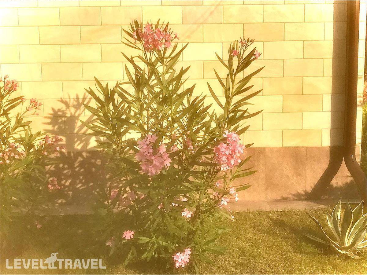 фотографии отеля Гостевой дом Солнечный город в Россия(Адлер) - фото №42