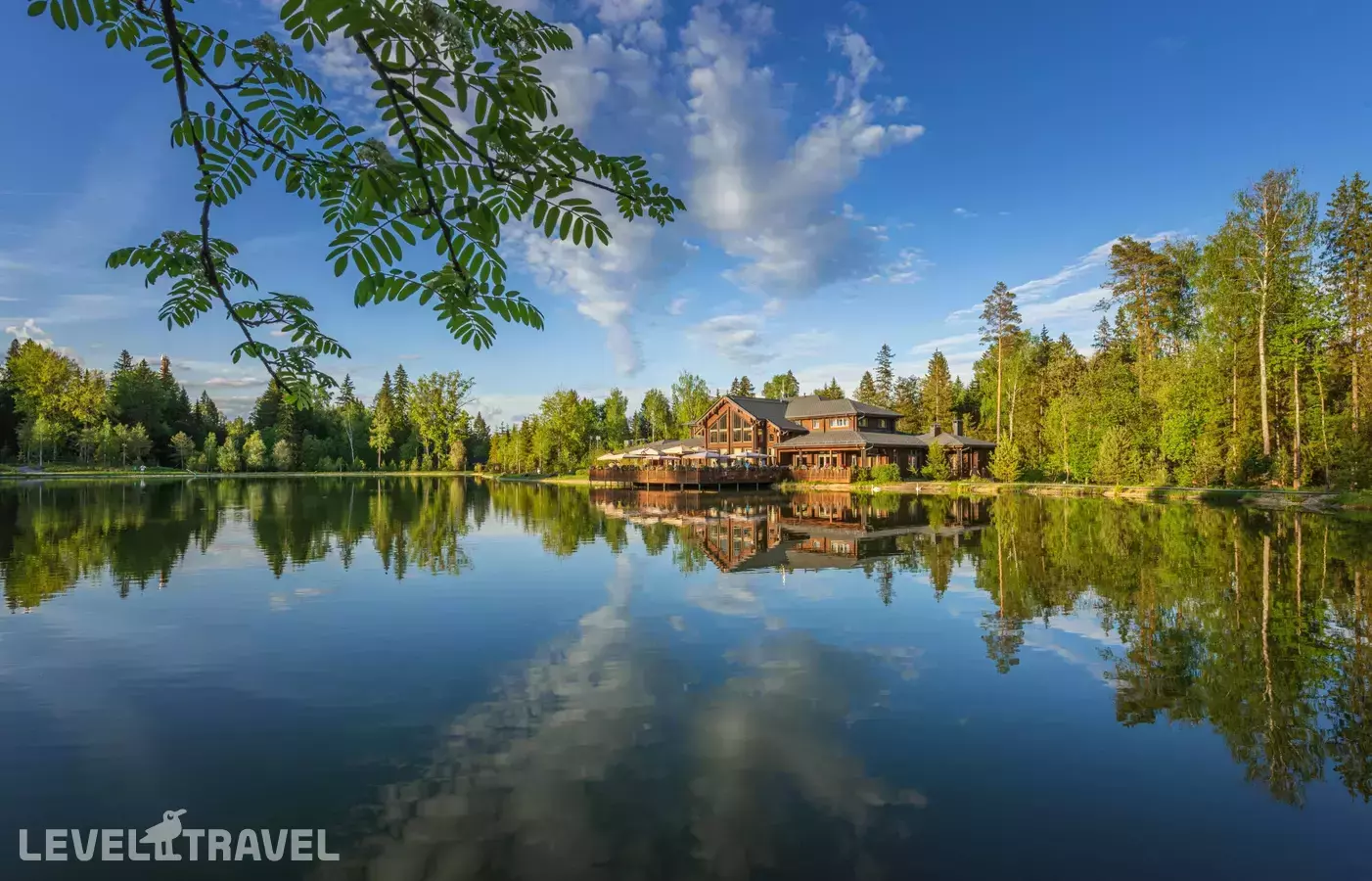 Cosmos Collection Изумрудный Лес