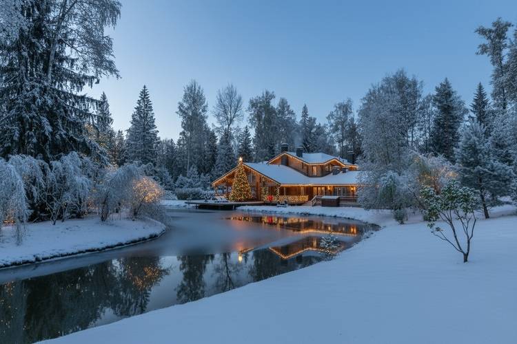 Cosmos Collection Изумрудный Лес