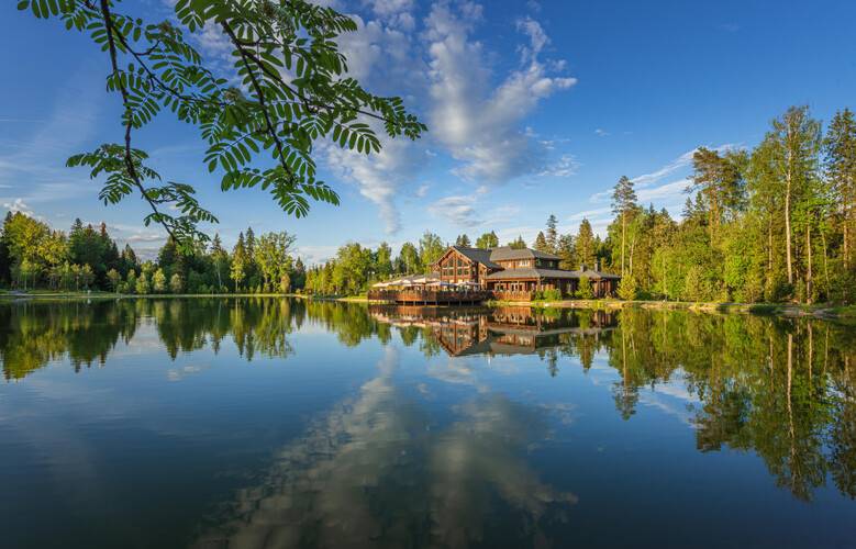 Cosmos Collection Изумрудный Лес