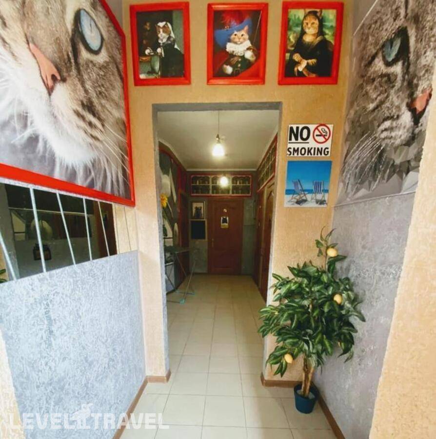 Изображение отеля 10