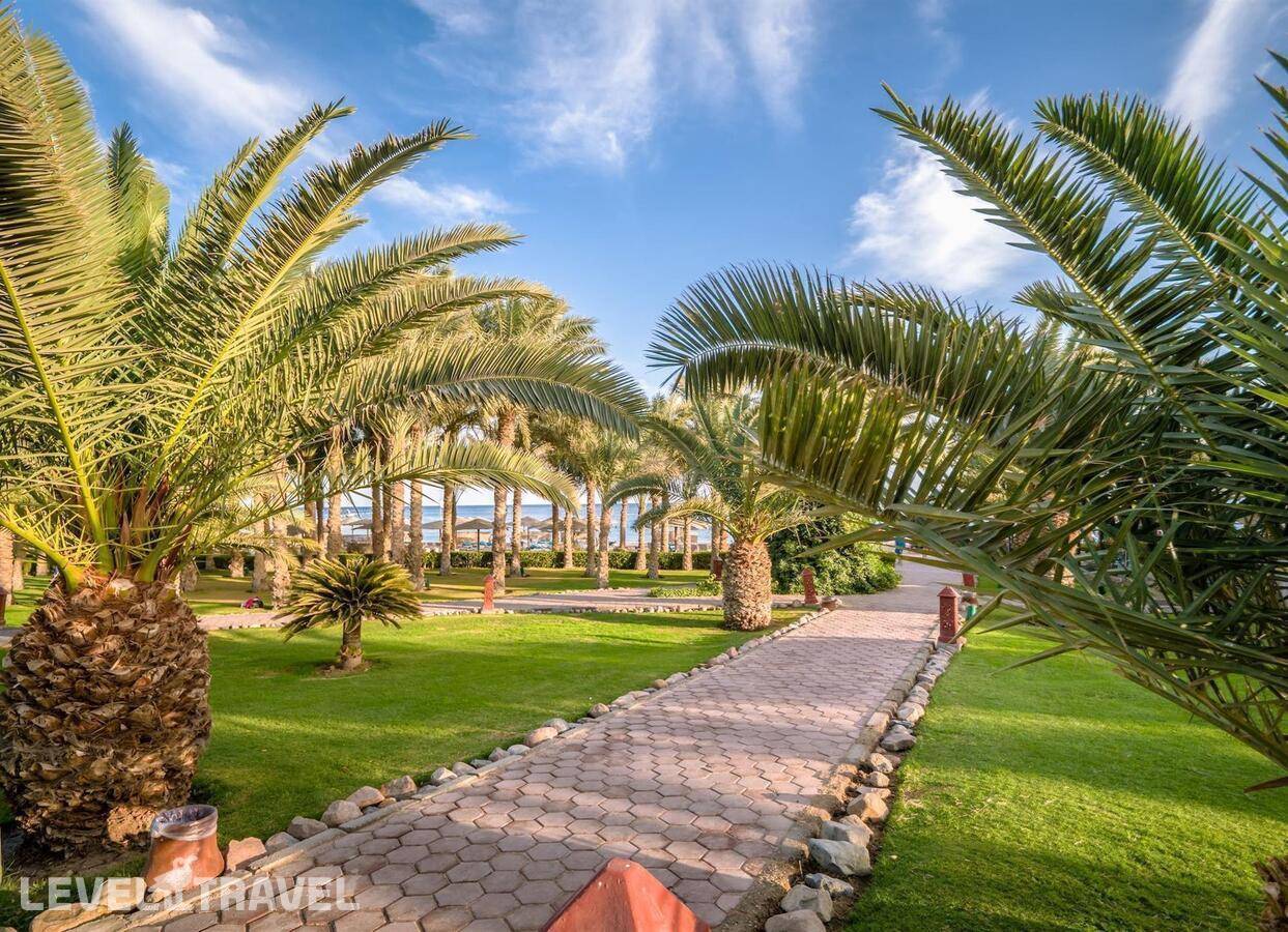 Fort Arabesque Resort & Spa — фото 11