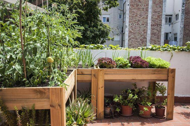 Albergue Studio Hostel — фото 27