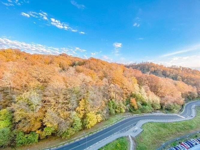 Апартаменты Abri Luxe in Sochi Тепличная 75