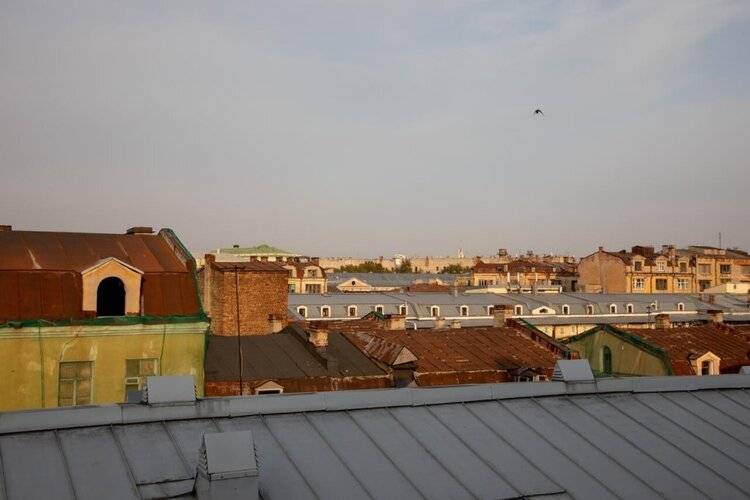 Roof Story (Руф Стори)