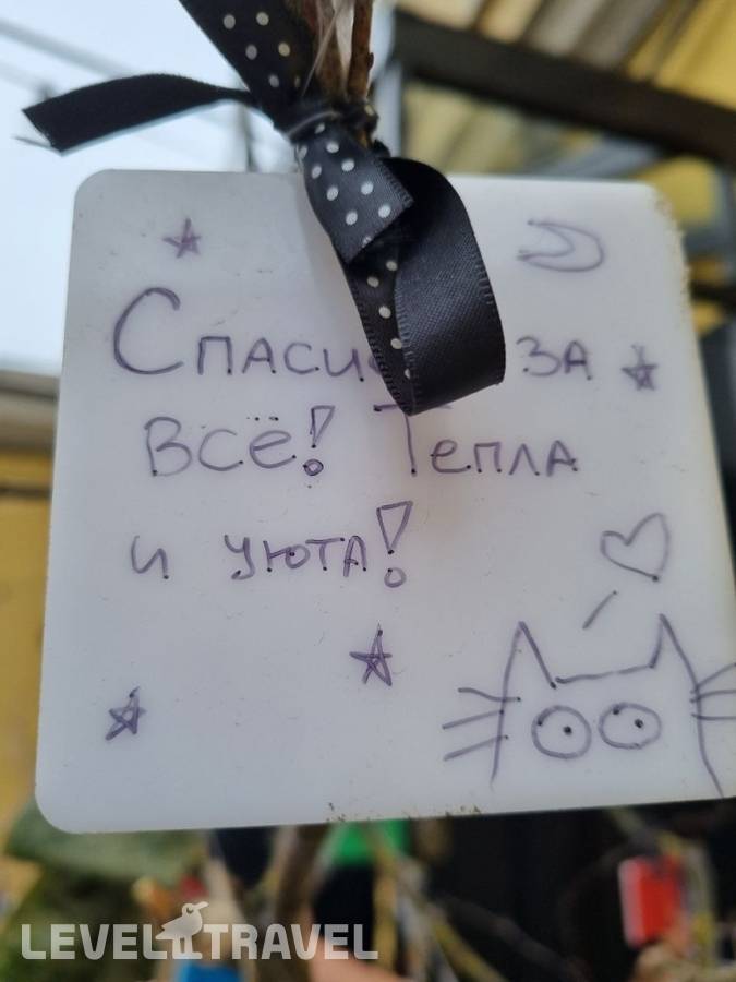 фотографии отеля Бутик-отель Mysterio в Россия(Центральный район) - фото №80