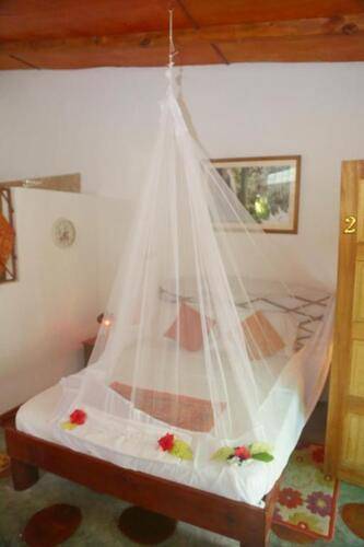 Coco Bay Guest House