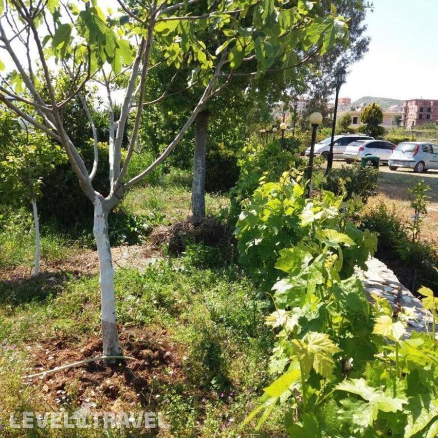 фотографии отеля Boston Hotel в Албания(Саранда) - фото №13