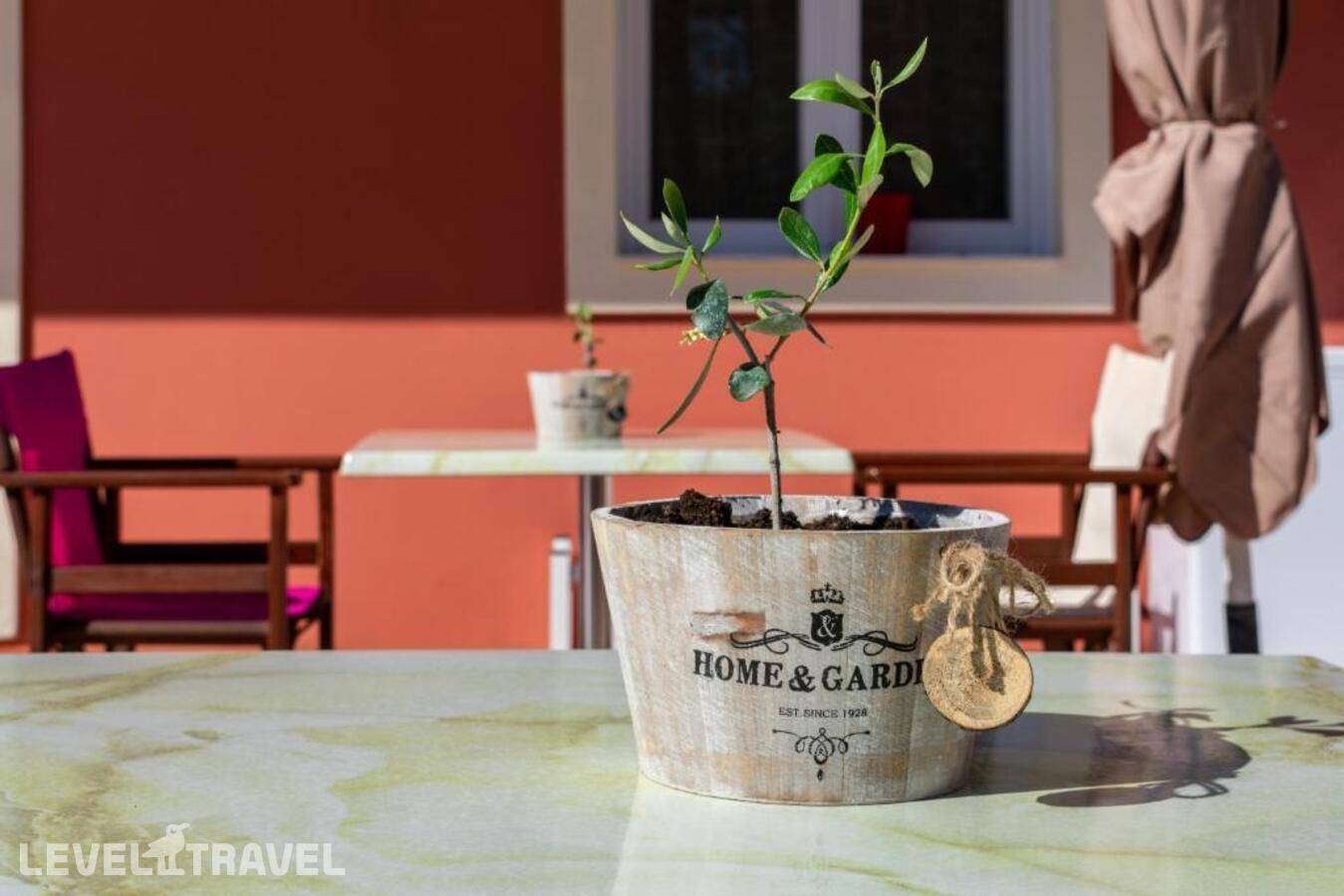 фотографии отеля Zante Pantheon Hotel в Греция(Циливи) - фото №6