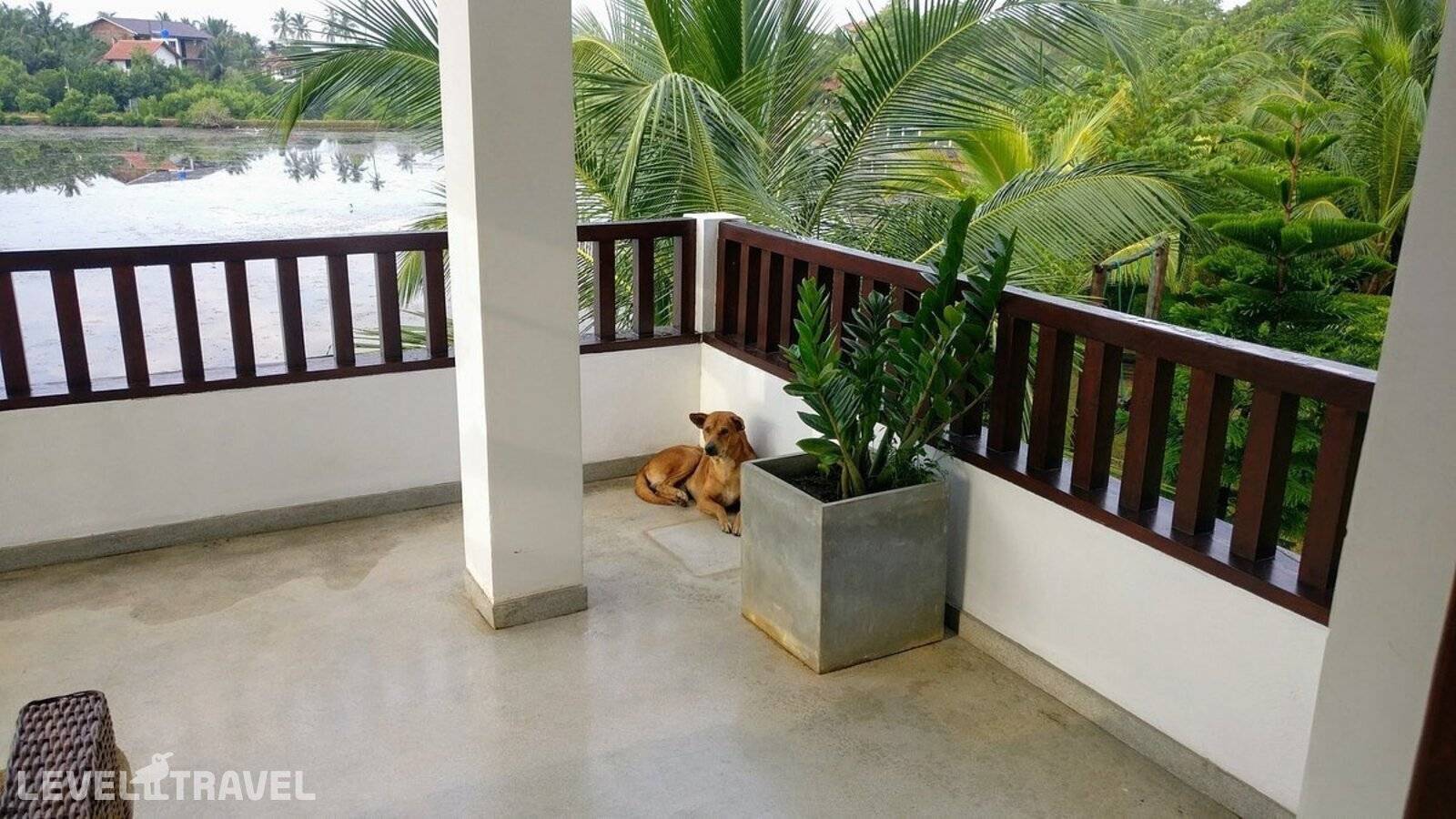 фотографии отеля Hideaway Lodge в Шри-Ланка(Тангалле) - фото №3