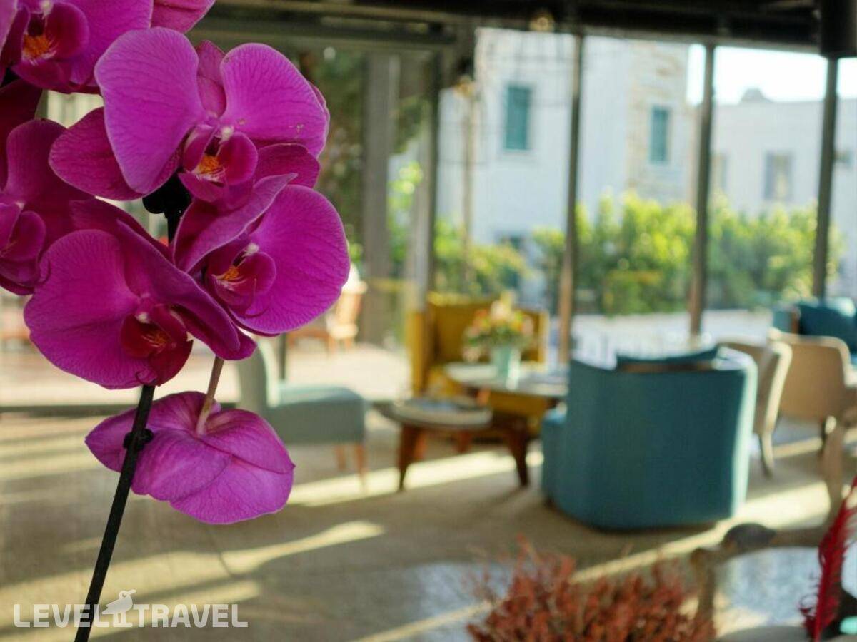 фотографии отеля Eskiceshme Hotel Boutique в Турция(Бодрум) - фото №20