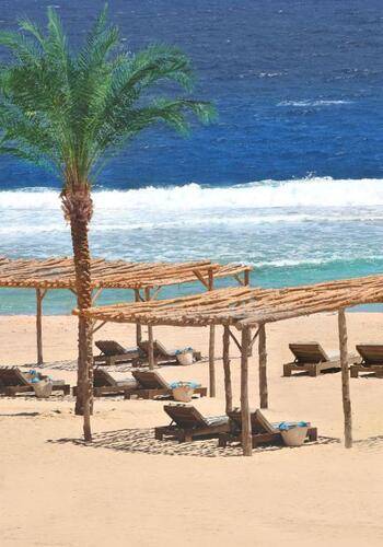 Steigenberger Resort Alaya Marsa Alam (Ex.Tui Blue Alaya Marsa Alam) (Adults Only 16+)