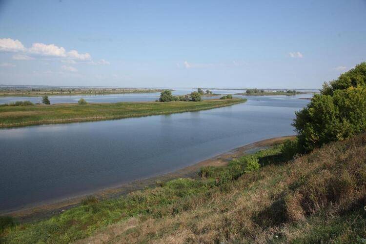 Регина Болгар