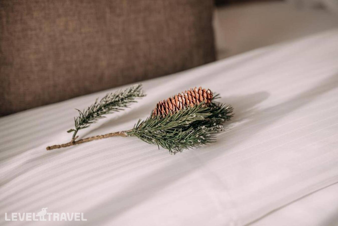 фотографии отеля Dilijazz Resort в Армения(Дилижан) - фото №34