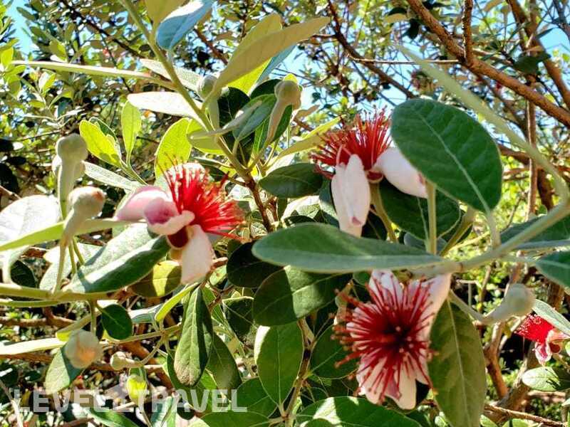 Фотография У Розы Фотография У Розы