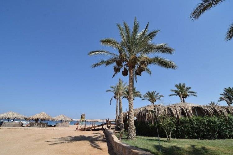 Sharm El Naga Resort and Diving Center