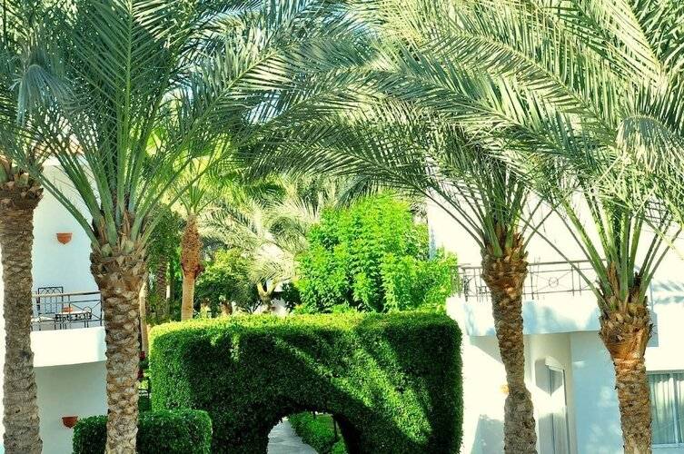 Jaz Fanara Resort