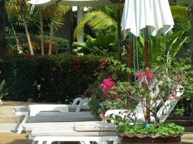 Palm Garden Resort