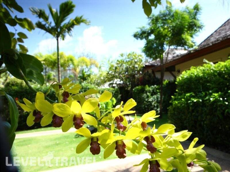 Фотография Pai Tan Villas