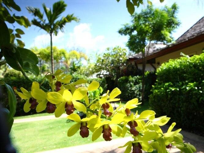 Pai Tan Villas