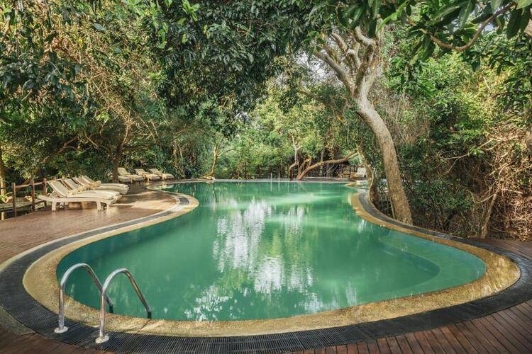 Jungle Beach