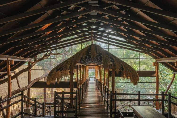 Jungle Beach
