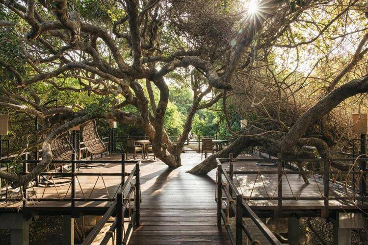 Jungle Beach