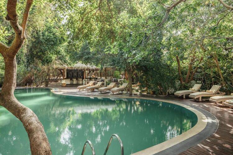 Jungle Beach