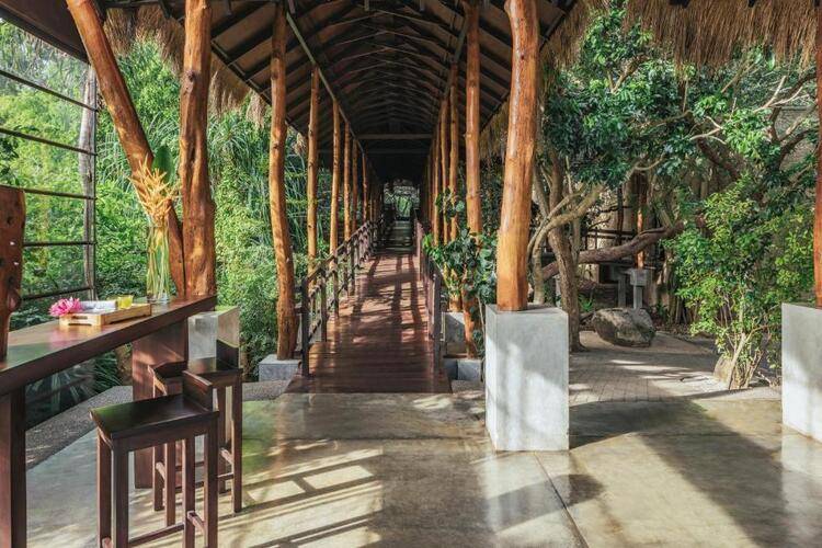 Jungle Beach