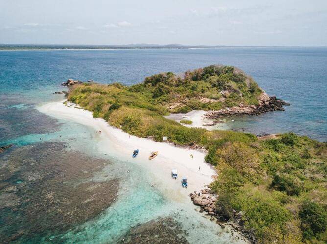 Jungle Beach