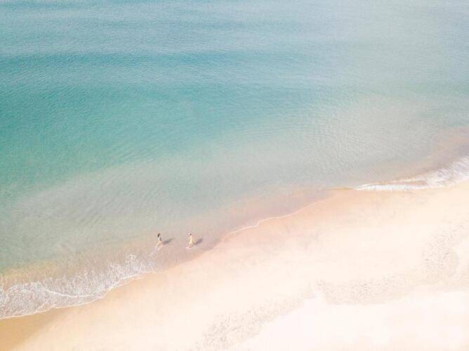 Jungle Beach