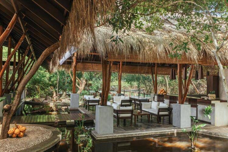 Jungle Beach