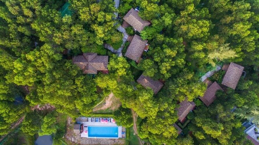 The Touch Green Naiyang