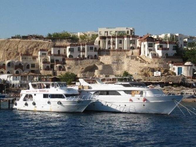 Sharks Bay Umbi Diving Village