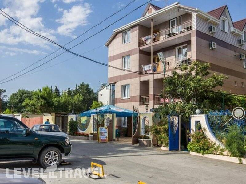 Фотография Пальма На Улице Аллейная Фотография Пальма На Улице Аллейная