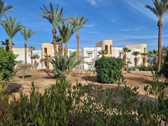 Queen Sharm Resort Beach