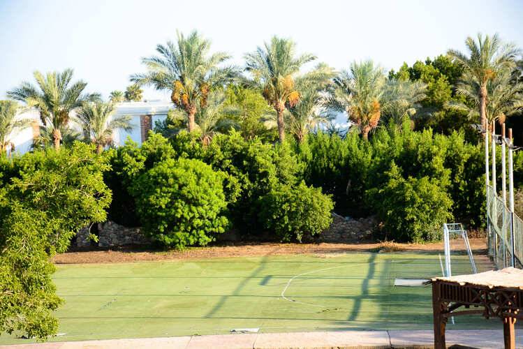 Queen Sharm Resort View