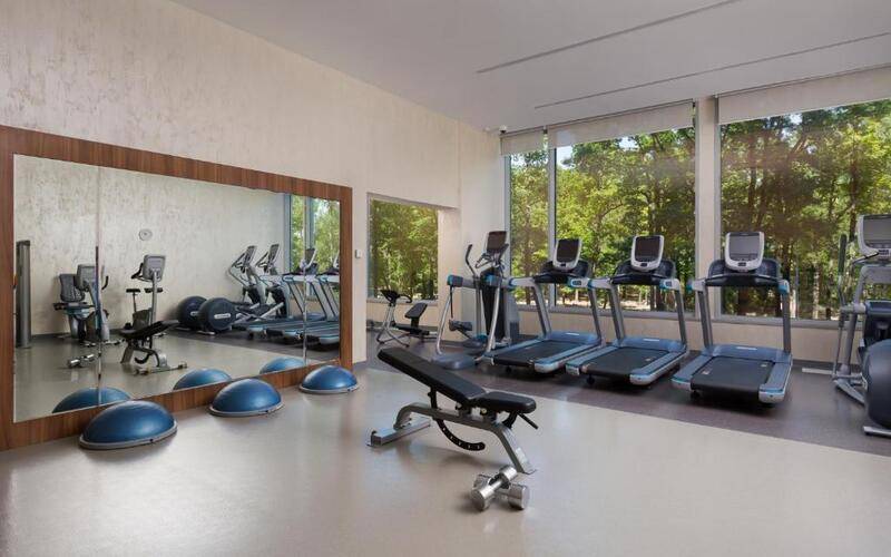 DoubleTree by Hilton Hotel Moscow - Vnukovo Airport