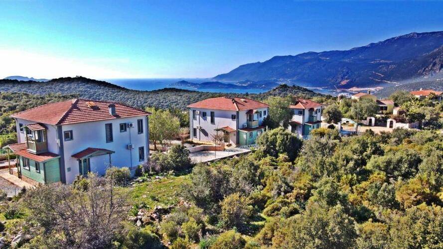 Citrus Villa Hotel