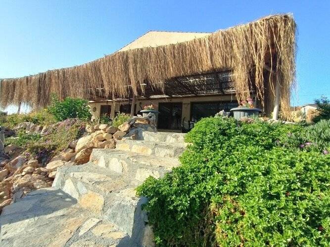 Delice Doga Evi
